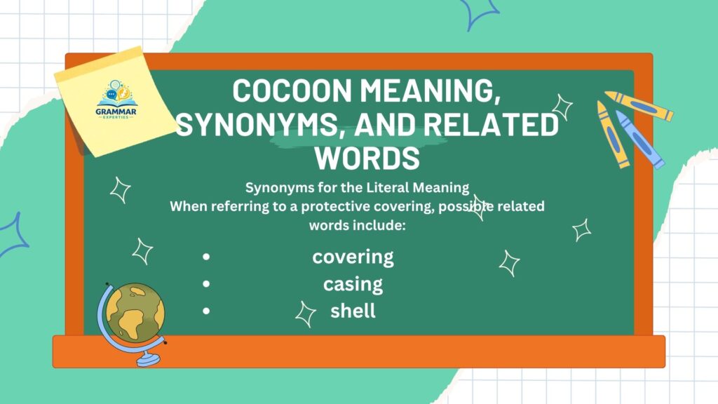 Cocoon Meaning Synonyms and Related Words