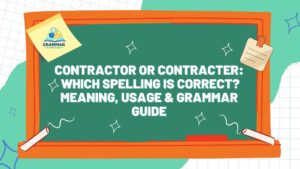 Contractor or Contracter Which Spelling Is Correct Meaning, Usage & Grammar Guide