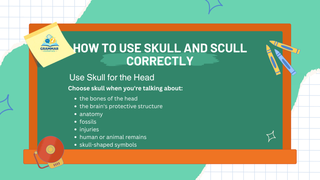 How to Use Skull and Scull Correctly 1