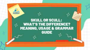 Skull or Scull What’s the Difference Meaning, Usage & Grammar Guide