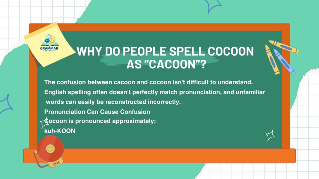 Why Do People Spell Cocoon as Cacoon