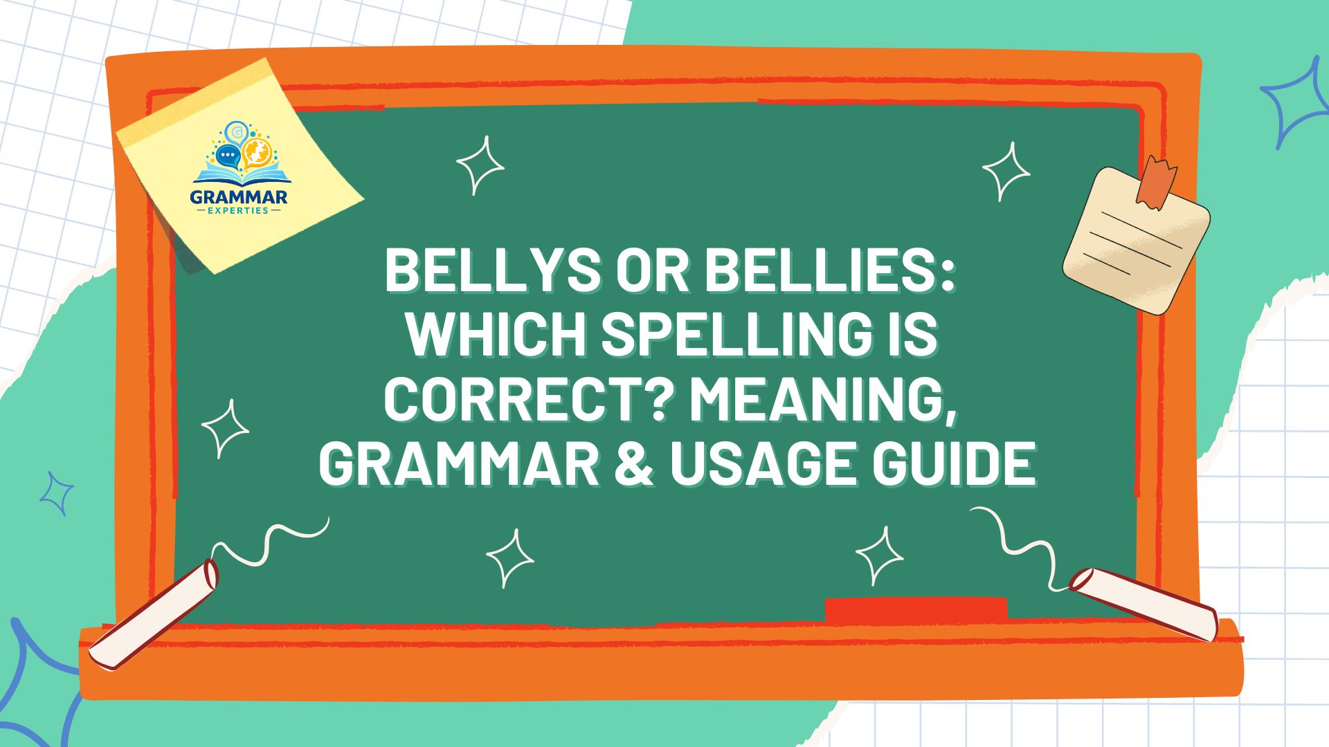 Bellys or Bellies Which Spelling Is Correct Meaning, Grammar & Usage Guide