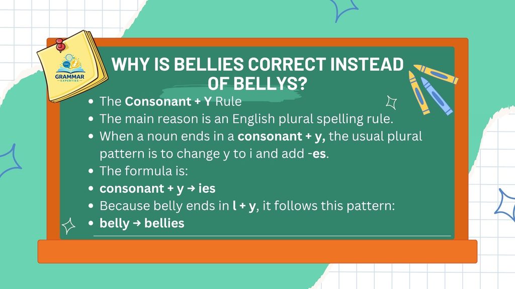 Why Is Bellies Correct Instead of Bellys 1