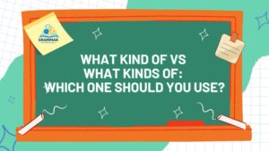 What Kind of vs What Kinds of Which One Should You Use