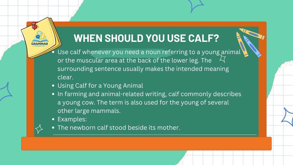 When Should You Use Calf